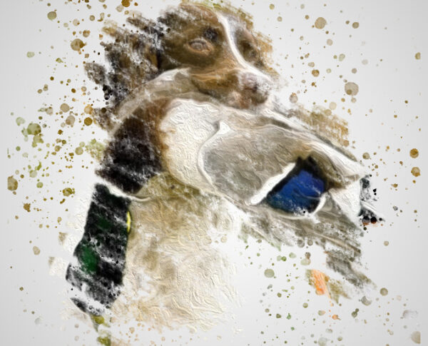 Brittany Splatter Portrait