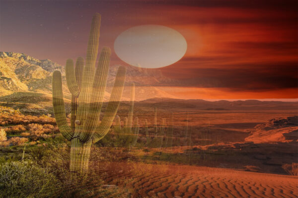 A Desert Mountain Scene