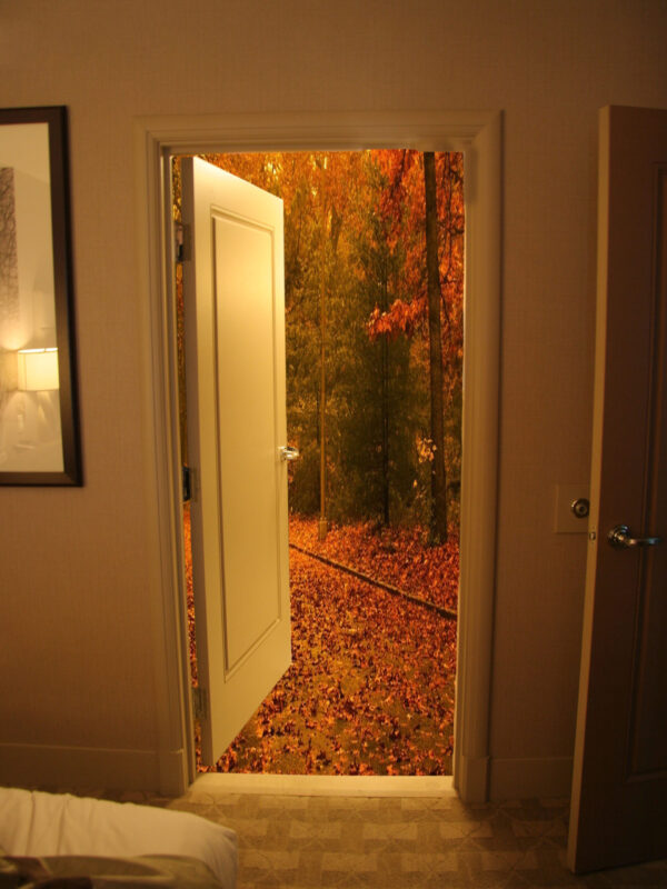 The Door Open Scenery
