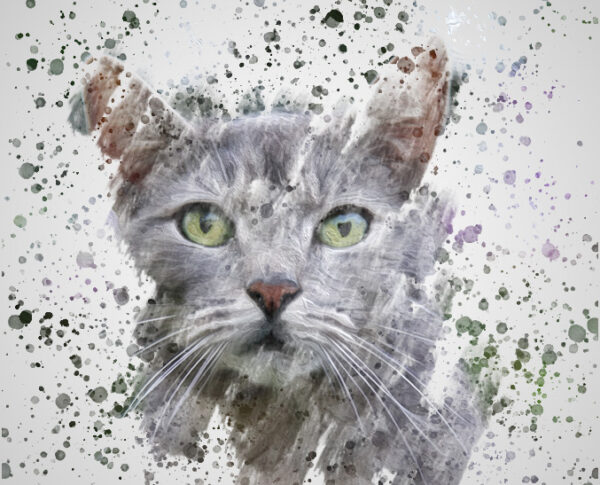 Gray Cat Splatter Portrait
