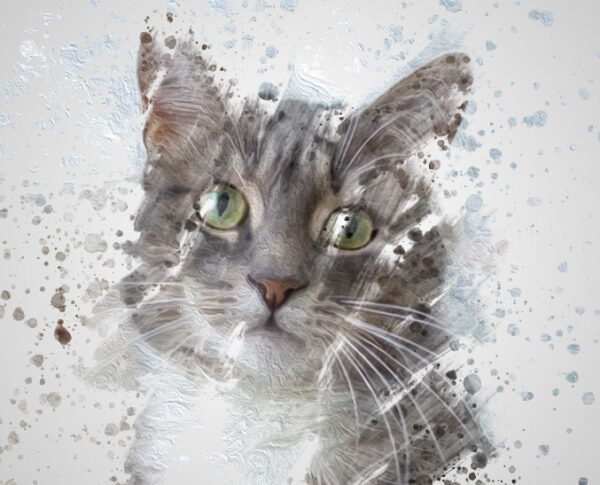 Gray Cat Splatter Portrait