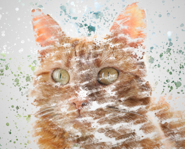 Orange Cat Splatter Portrait