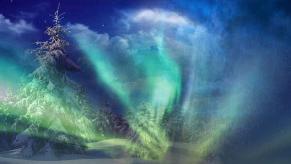 The Northern Lights