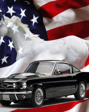 The 1965 Ford Mustang