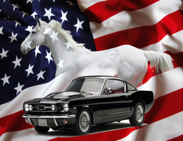 The 1965 Ford Mustang