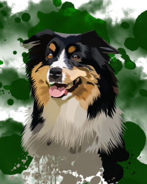 Australian Shepherd Portrait