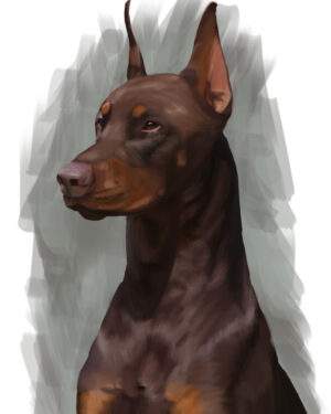 Doberman Pinscher Portrait