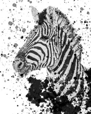 Zebra Splatter Painting